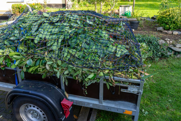 Trusted Memphis, FL Junk Removal Services Experts